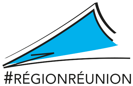 logo regionreunion bleu clair